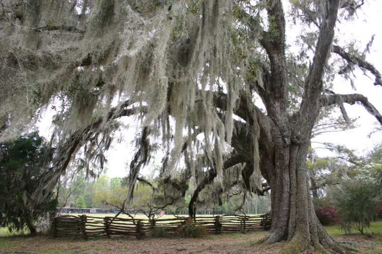 Myrtle Beach, South Carolina