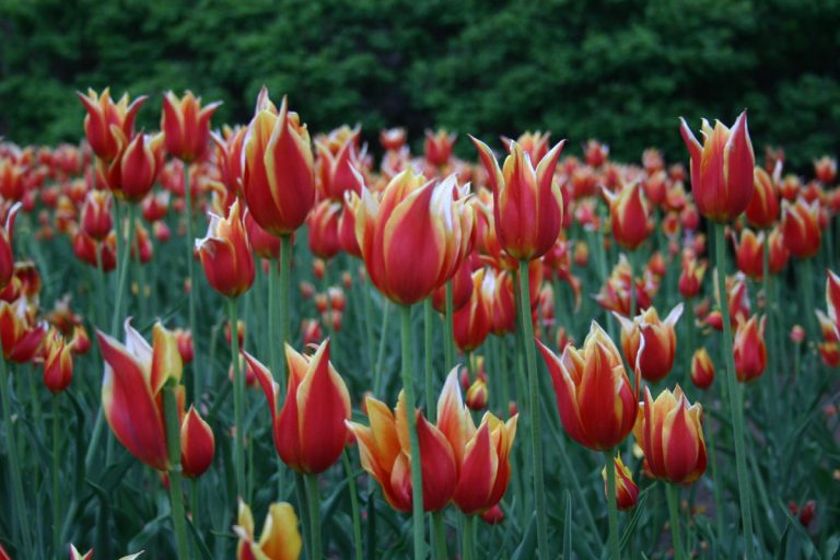 May 24 weekend