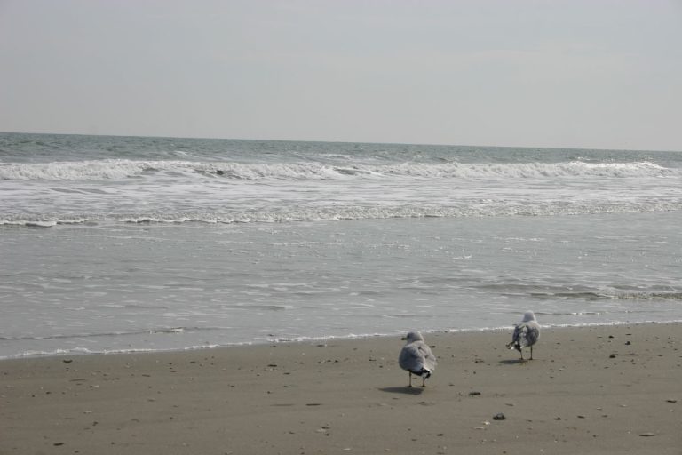 Myrtle Beach, South Carolina