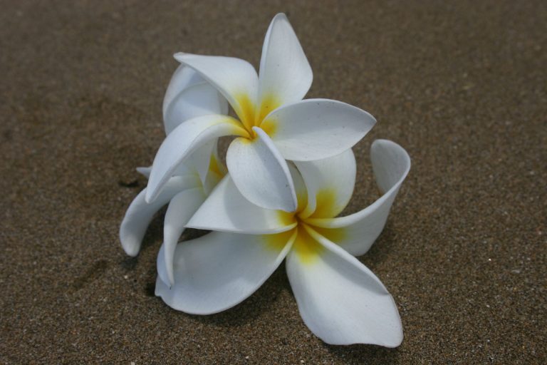 Maui, Hawaii