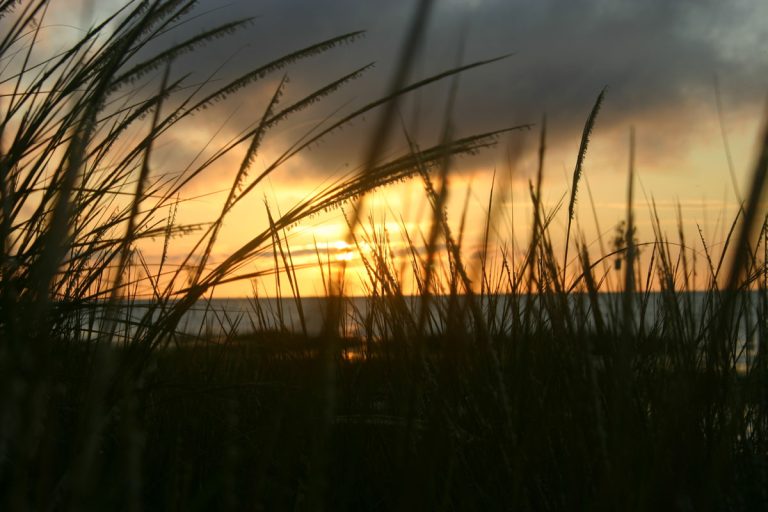 Last day on the Cape
