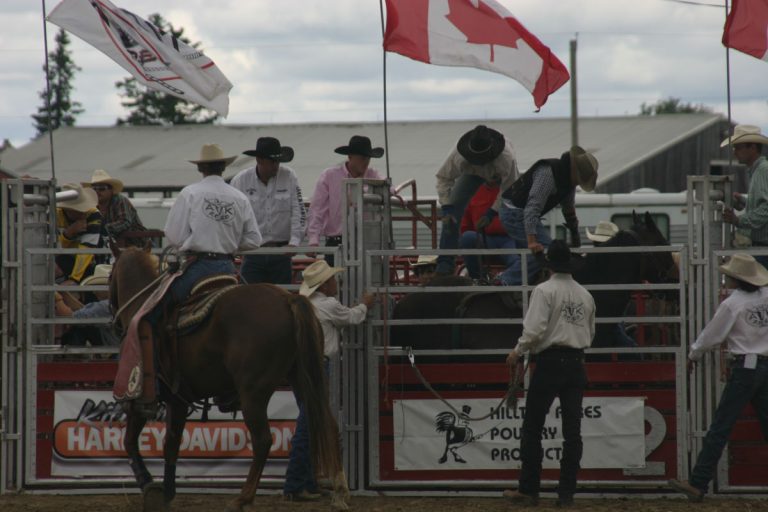 Cowboys in the city