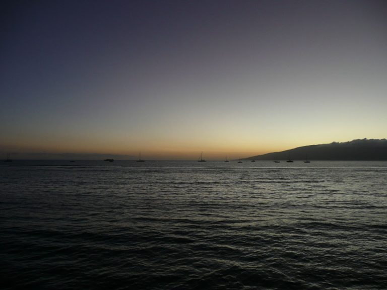 Island life