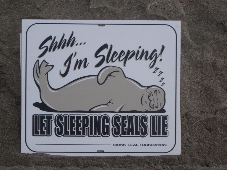 Let sleeping seals lie