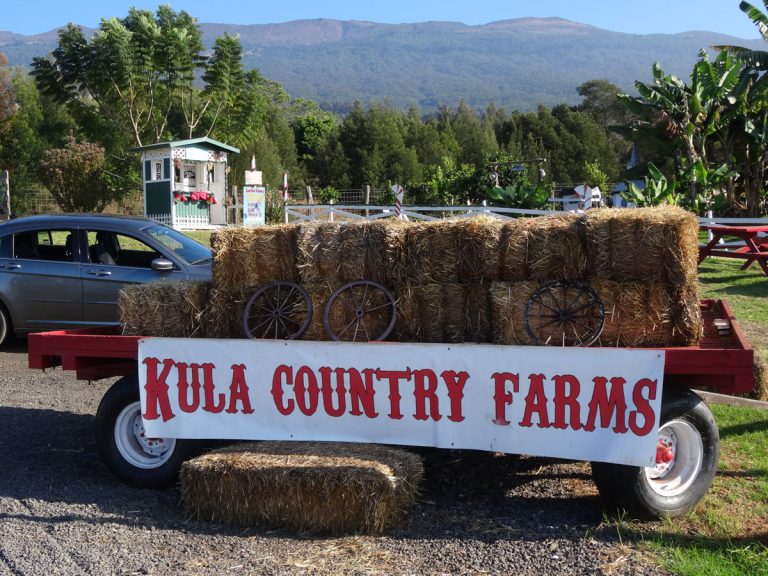 Upcountry