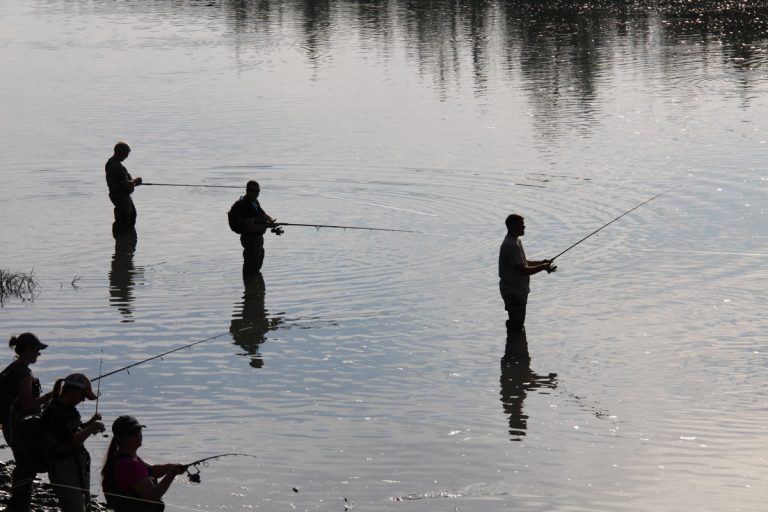Fish on