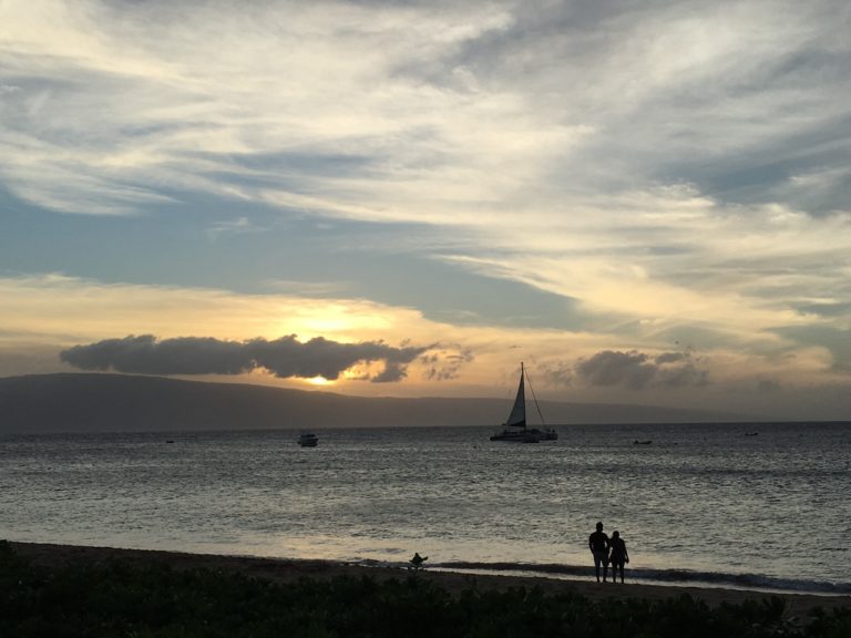 Black Friday in paradise