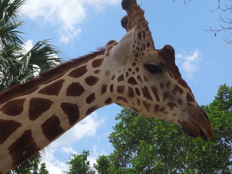 Up close and personal