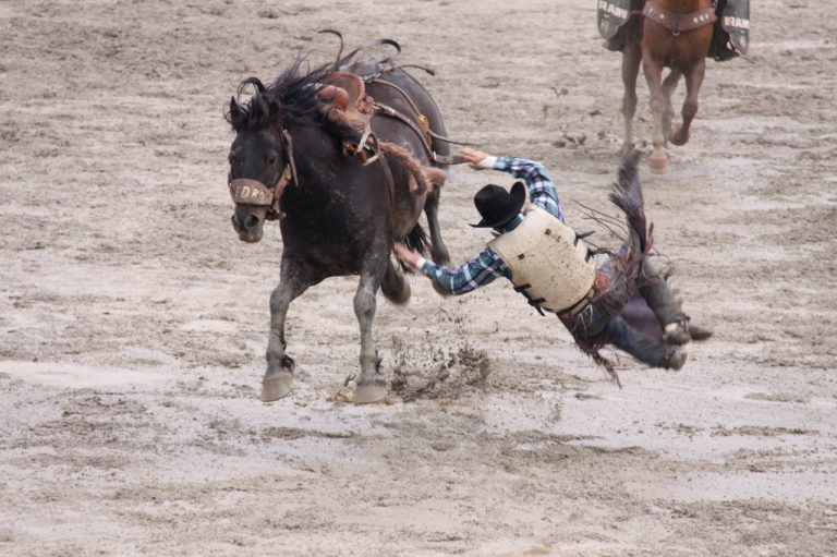 Not our first rodeo
