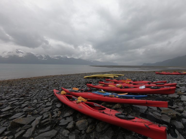 Kayak. Pick. Give.