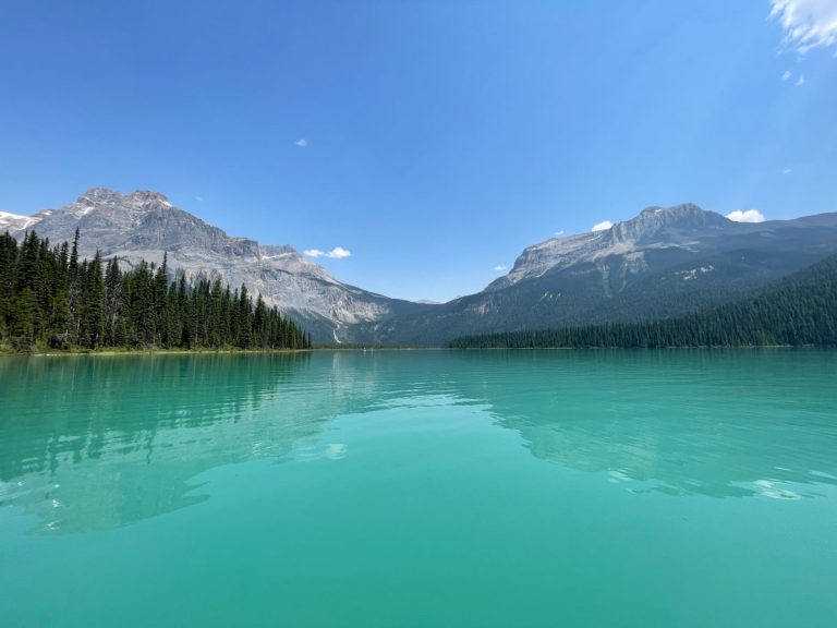 Yoho … amazement