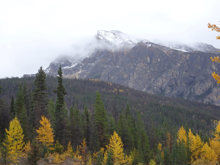 Goodbye mountains