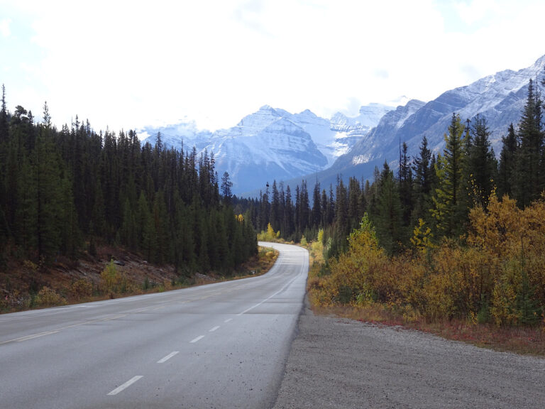 Life is a highway