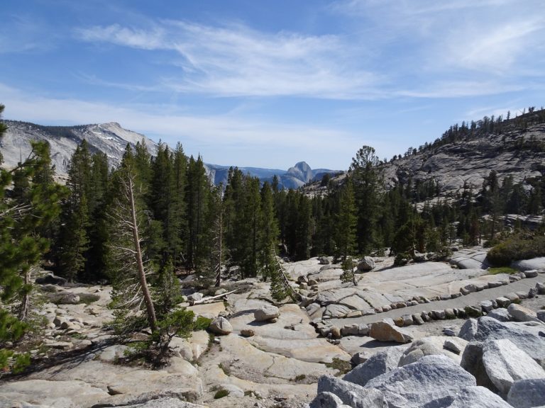 Back to back national parks