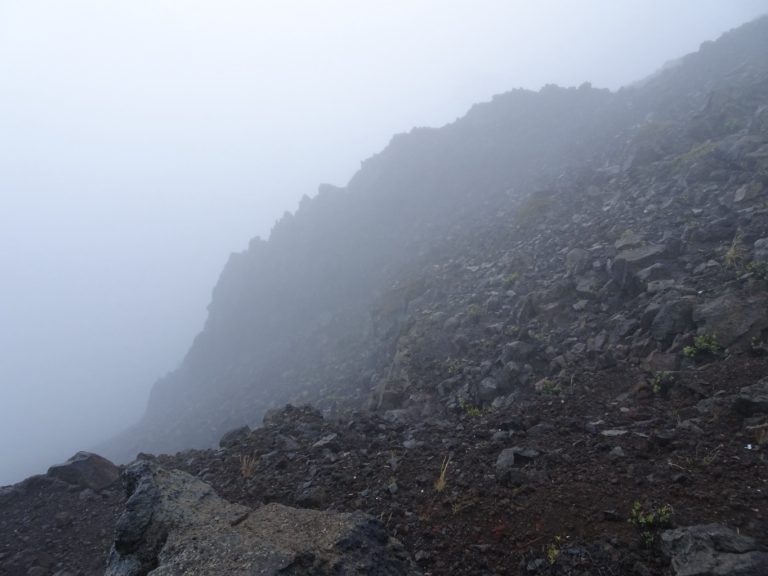 Fogged out
