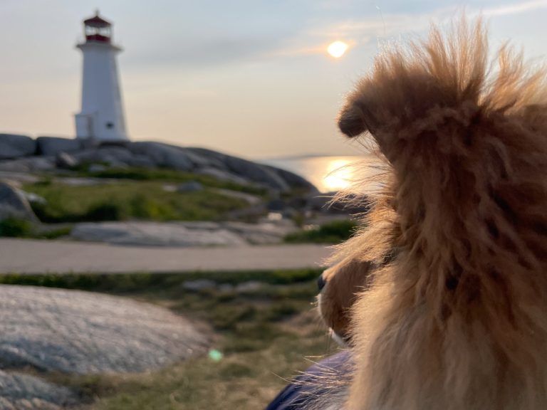 First time in Nova Scotia