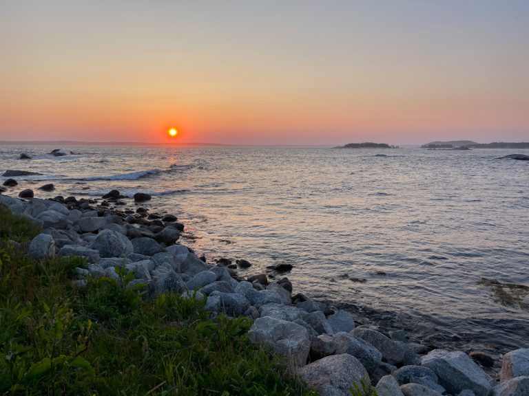 Savour the sunset