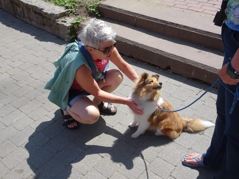 Bon Chien dans le Vieux-Quebec