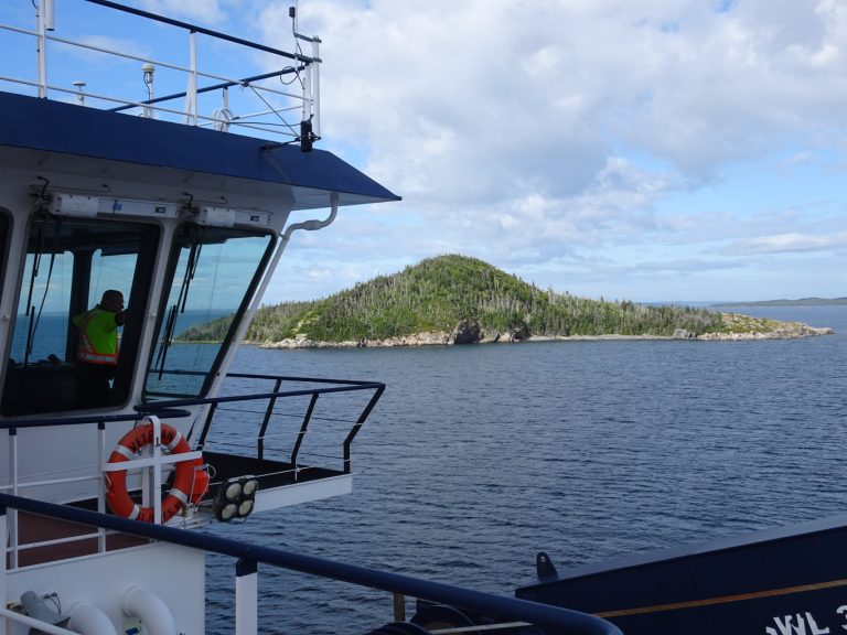 Continuing our Newfoundland adventure