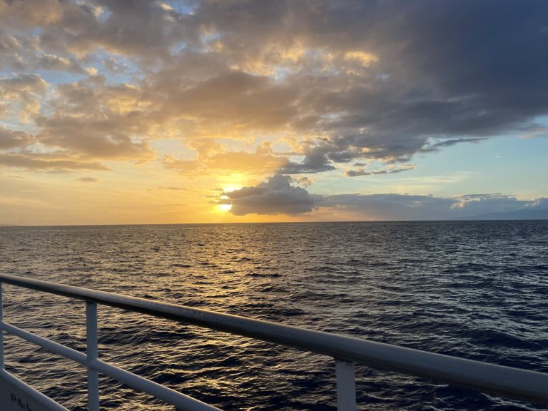 From shopping to sunset