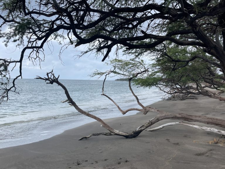 Making the most of our last day in Maui