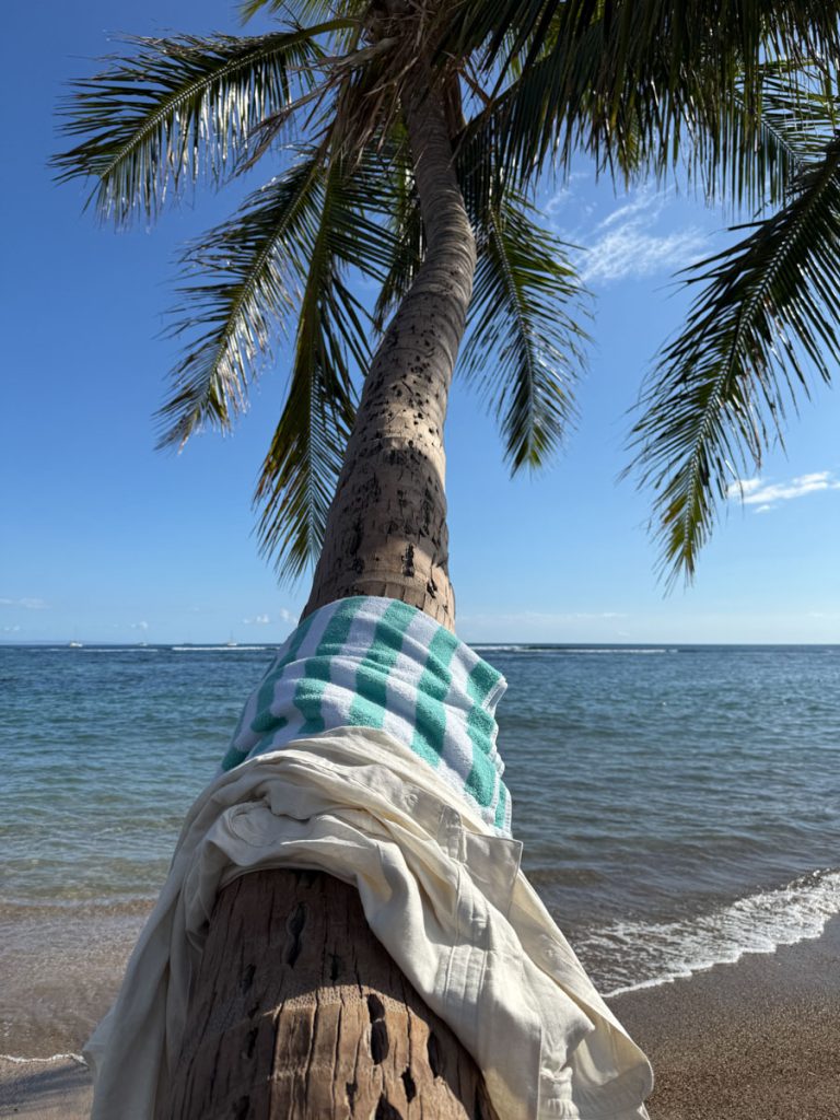 Rest and relaxation